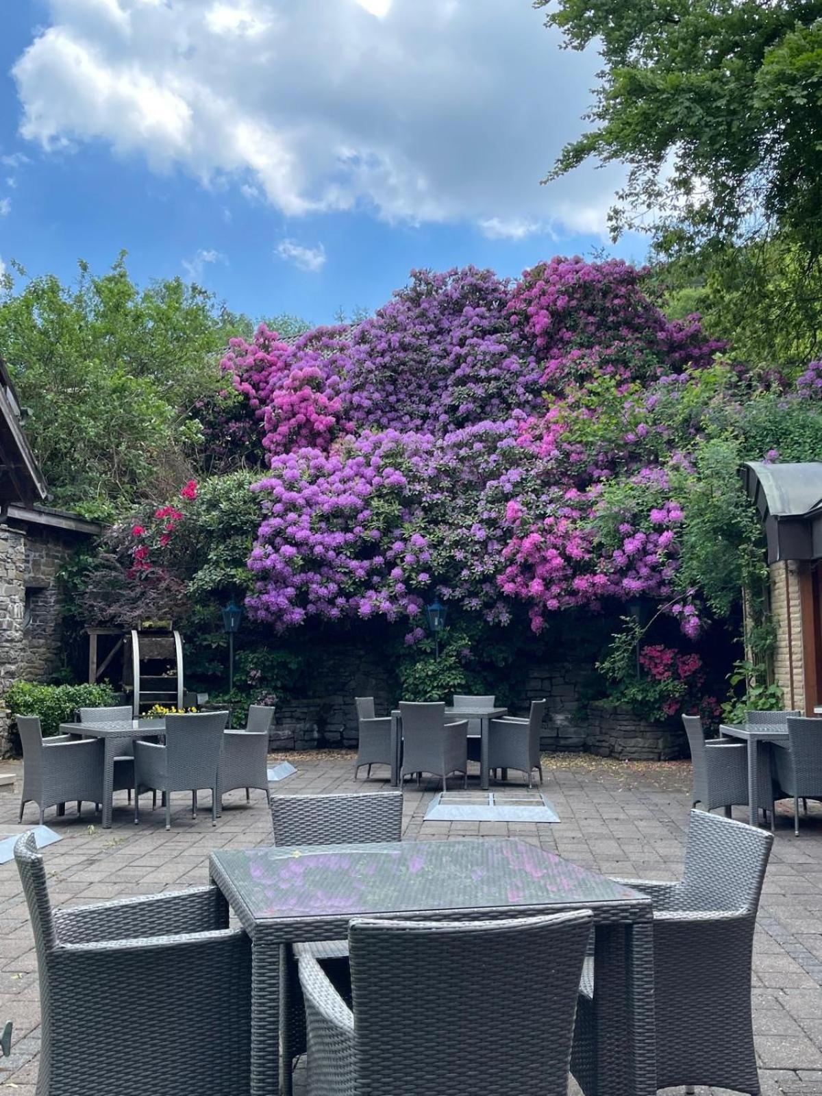 Hotel Zur Muehle Ίζερλον Εξωτερικό φωτογραφία